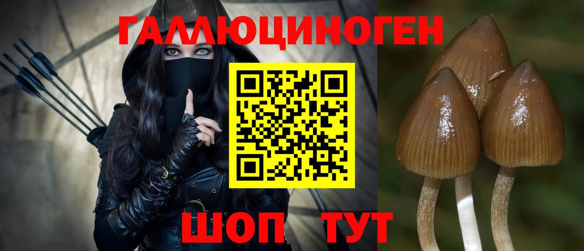 Галлюциногенные грибы Psilocybine cubensis  Вход с VPN  Магнитогорск 