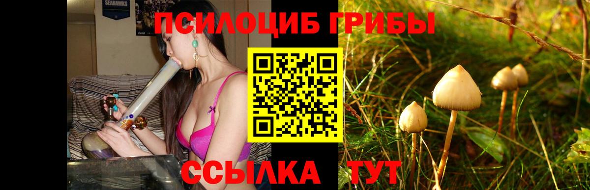 Псилоцибиновые грибы Cubensis Магнитогорск
